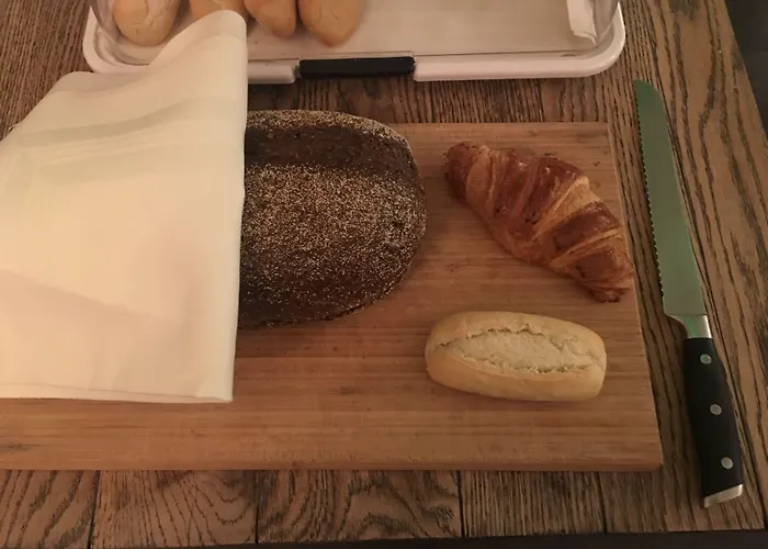 Amadeus 2* 하를렘