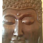 アマデウス 2* ハーレム